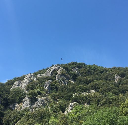 météo Cévennes